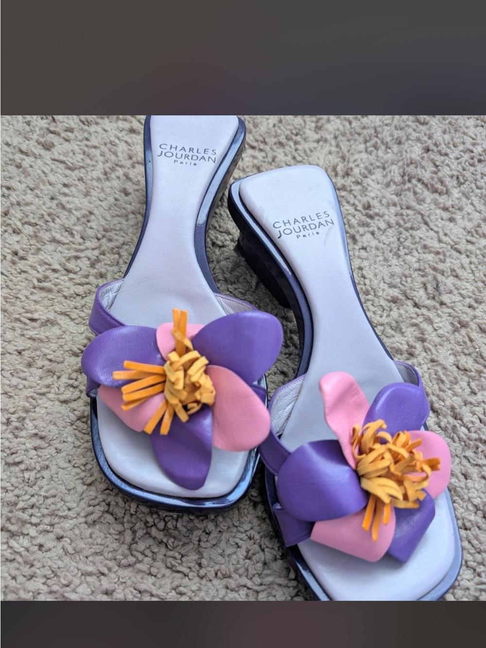 Charles Jourdan Purple, Pink & Yellow Floral Slide Mules